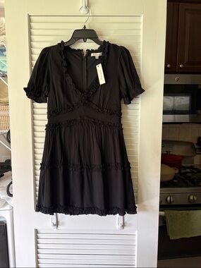 Francesca's Collections Black Ruffle V-Neck Mini Dress